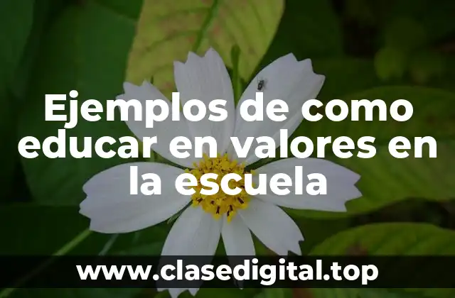 Ejemplos de como educar en valores en la escuela
