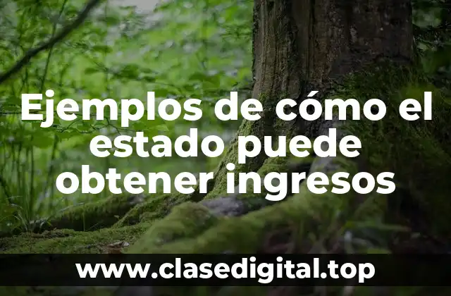 Ejemplos de cómo el estado puede obtener ingresos