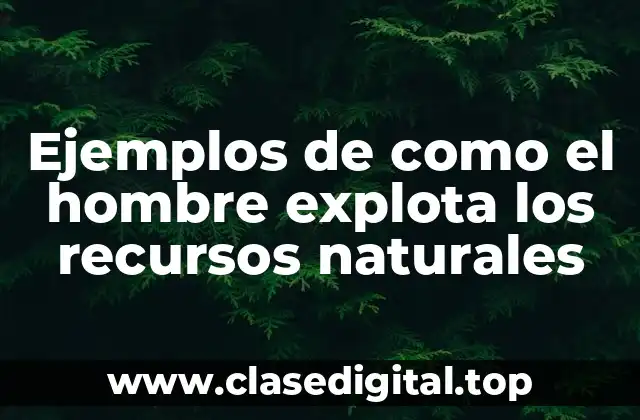 Ejemplos de como el hombre explota los recursos naturales