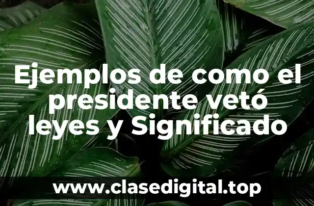 Ejemplos de como el presidente vetó leyes y Significado