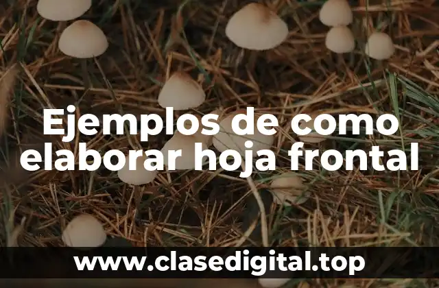 Ejemplos de como elaborar hoja frontal