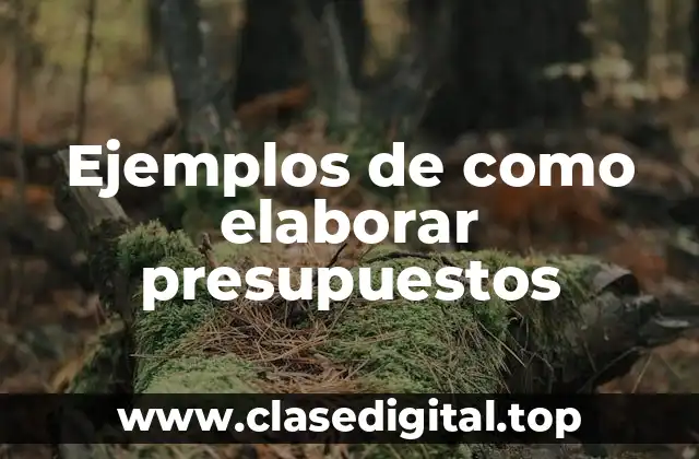 Ejemplos de como elaborar presupuestos