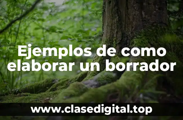 Ejemplos de como elaborar un borrador