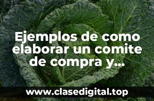 Ejemplos de comités de compra y adquisiciones