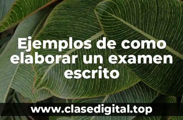 Ejemplos de como elaborar un examen escrito