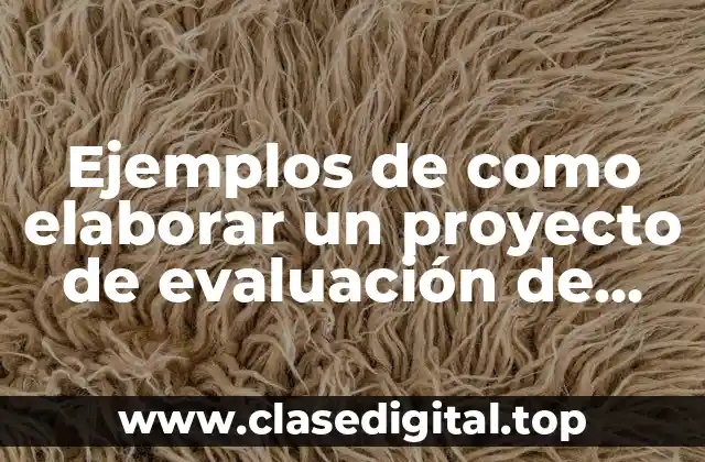Ejemplos de como elaborar un proyecto de evaluación de políticas