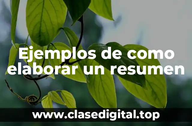 Ejemplos de como elaborar un resumen