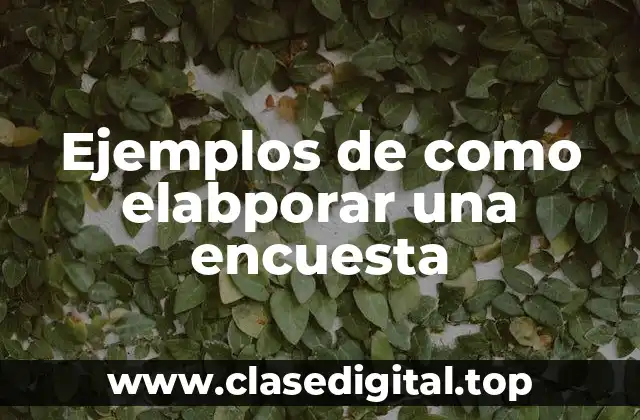 Ejemplos de como elabporar una encuesta