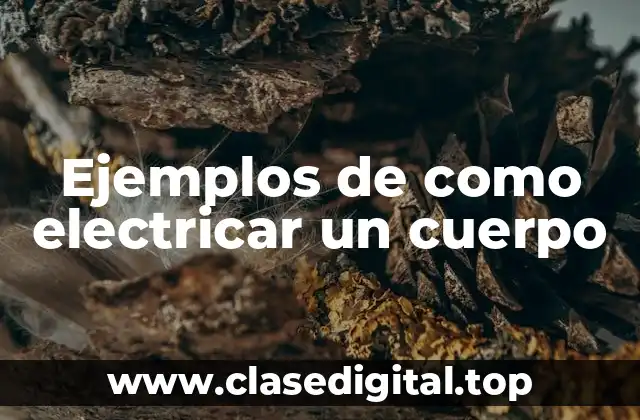 Ejemplos de como electricar un cuerpo