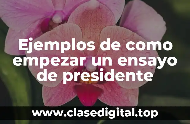 Ejemplos de como empezar un ensayo de presidente