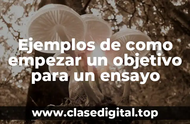 Ejemplos de objetivos para un ensayo