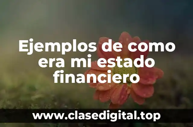 Ejemplos de como era mi estado financiero