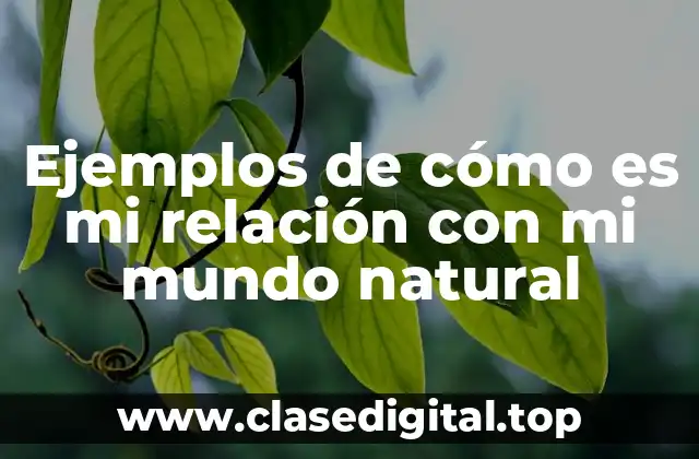 Ejemplos de cómo es mi relación con mi mundo natural