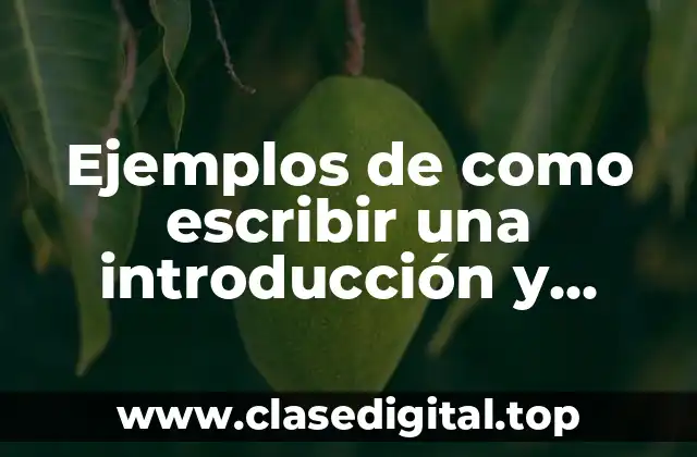 Ejemplos de como escribir una introducción y Significado