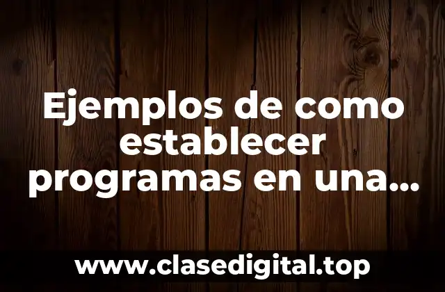Ejemplos de como establecer programas en una empresa
