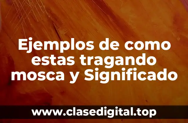 Ejemplos de como estas tragando mosca y Significado