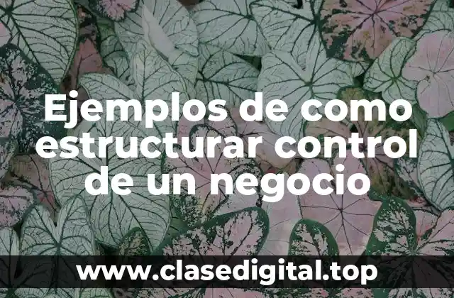 Ejemplos de como estructurar control de un negocio