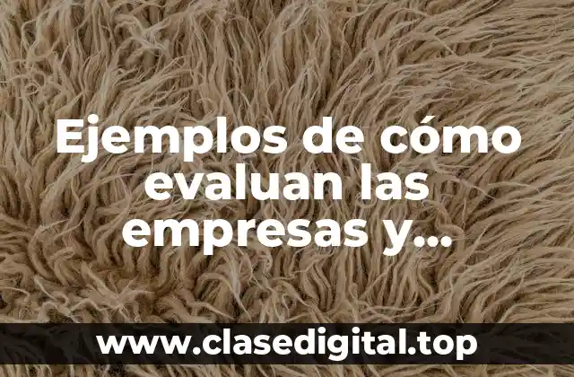 Ejemplos de cómo evaluan las empresas y Significado