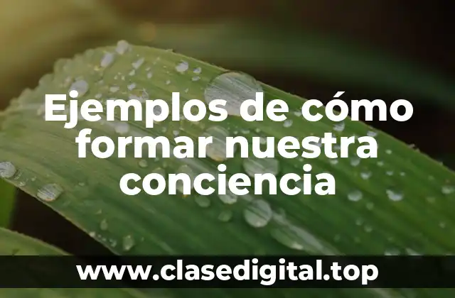Ejemplos de cómo formar nuestra conciencia
