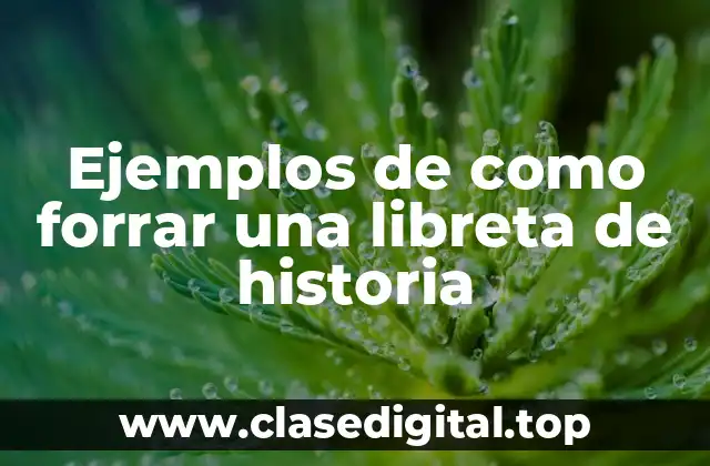 Ejemplos de como forrar una libreta de historia