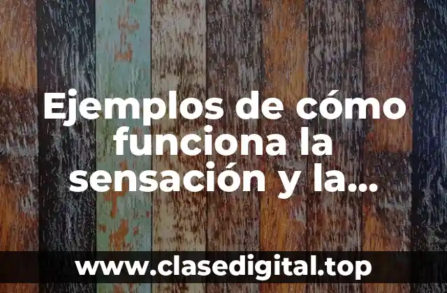 Ejemplos de cómo funciona la sensación y la percepción