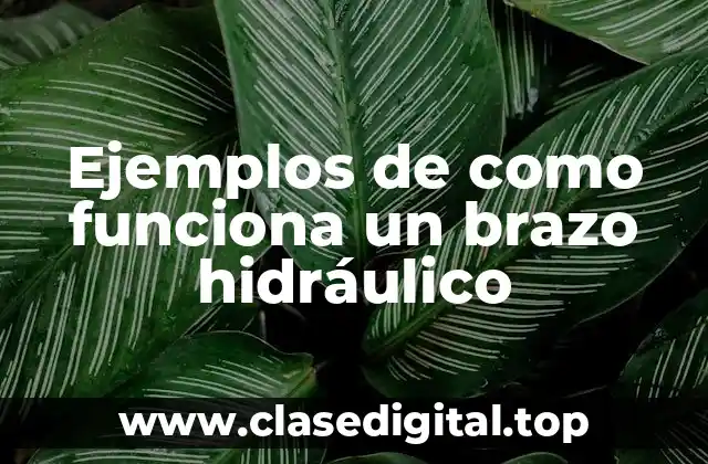 Ejemplos de como funciona un brazo hidráulico