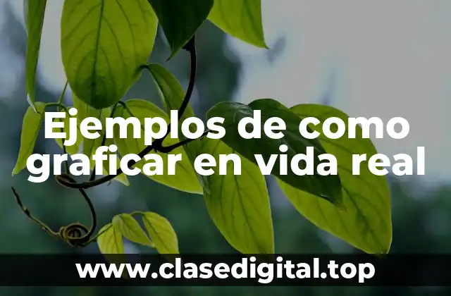 Ejemplos de como graficar en vida real