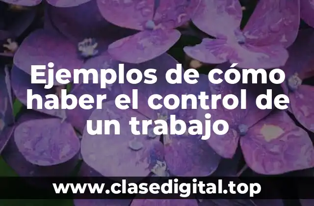 Ejemplos de cómo haber el control de un trabajo