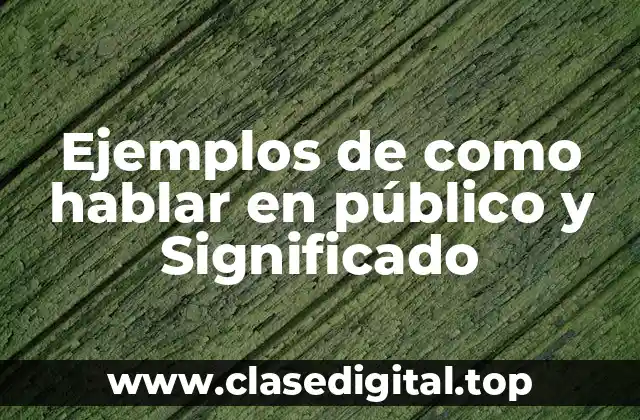 Ejemplos de como hablar en público y Significado