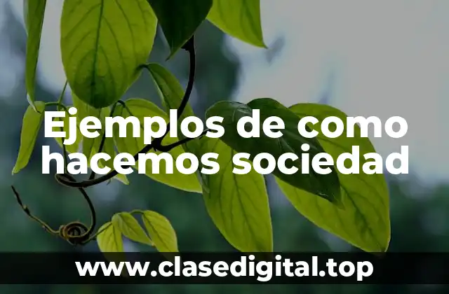 Ejemplos de como hacemos sociedad