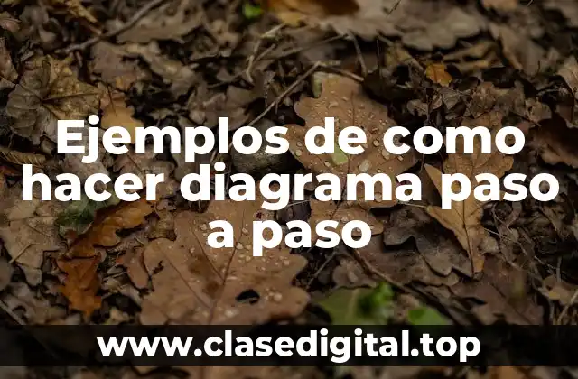 Ejemplos de como hacer diagrama paso a paso