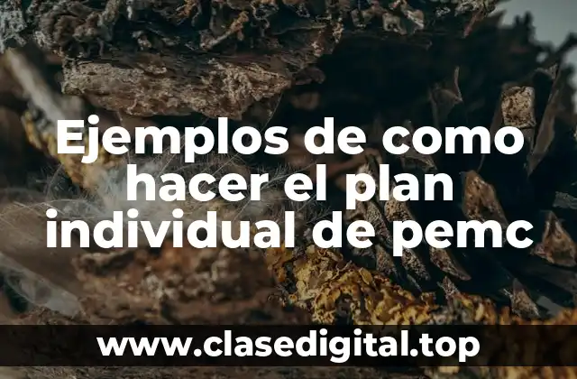 Ejemplos de como hacer el plan individual de pemc
