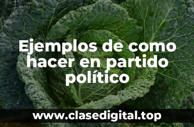 Ejemplos de como hacer en partido político