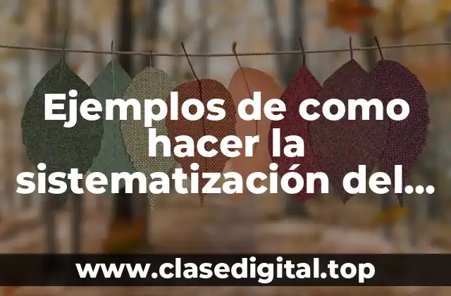 Ejemplos de como hacer la sistematización del problema