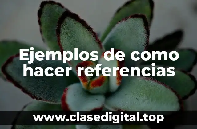 Ejemplos de como hacer referencias