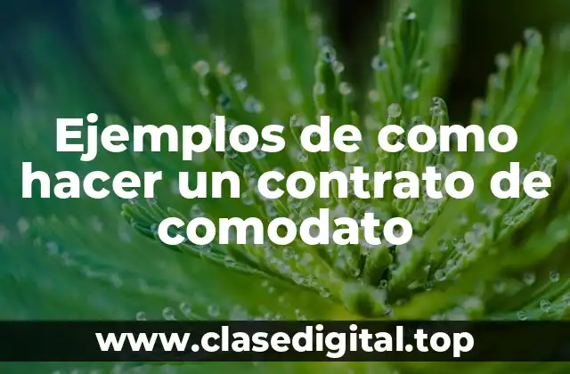 Ejemplos de contrato de comodato