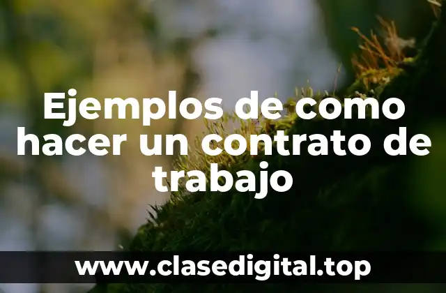 Ejemplos de como hacer un contrato de trabajo