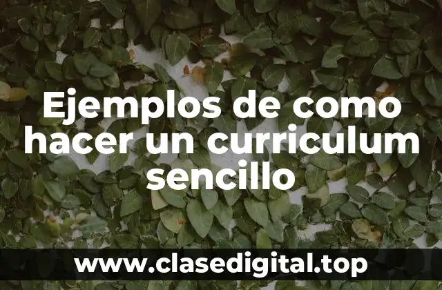 Ejemplos de como hacer un curriculum sencillo