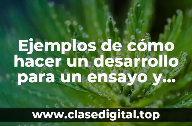 Ejemplos de cómo hacer un desarrollo para un ensayo y Significado