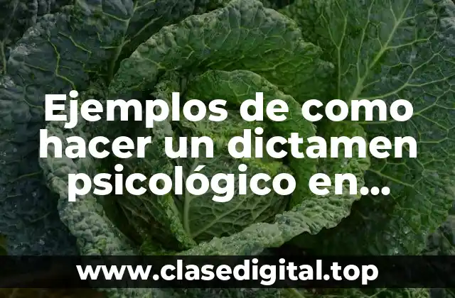 Ejemplos de como hacer un dictamen psicológico en psicología forense