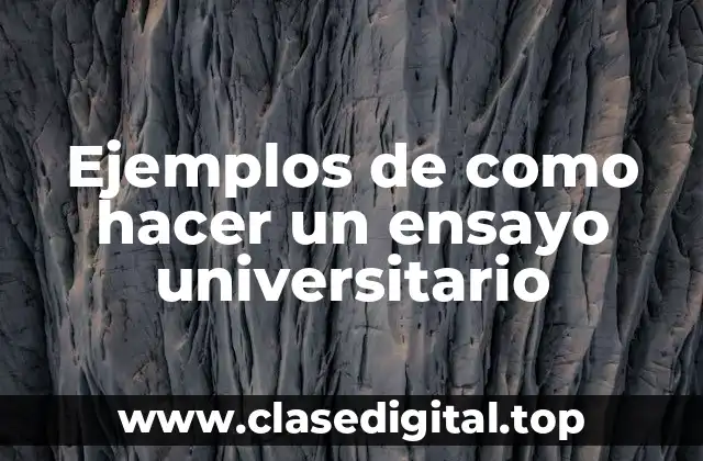 Ejemplos de como hacer un ensayo universitario