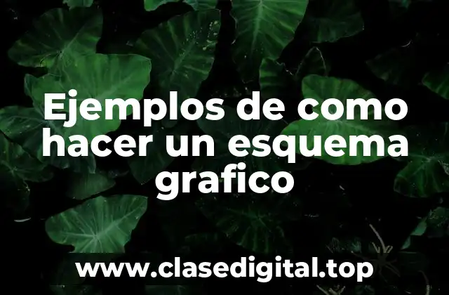 Ejemplos de como hacer un esquema grafico