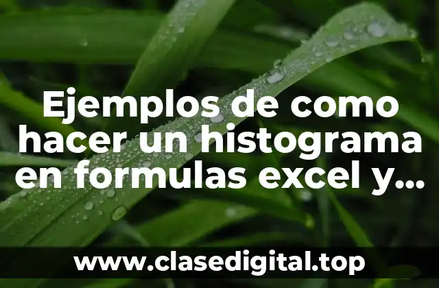 Ejemplos de como hacer un histograma en formulas excel y Significado