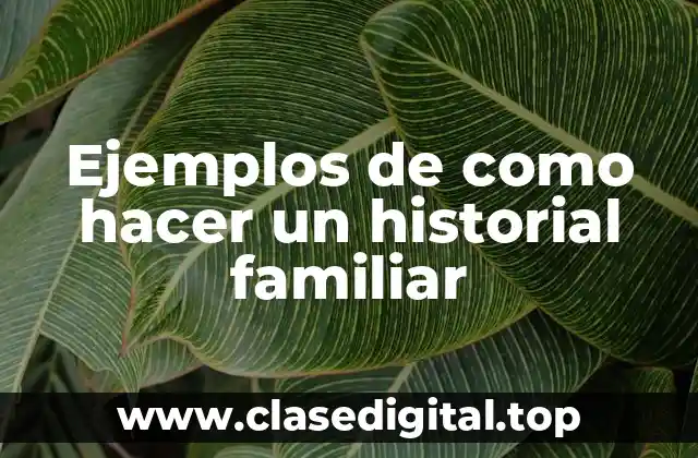 Ejemplos de como hacer un historial familiar
