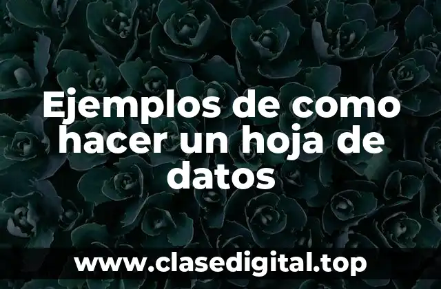 Ejemplos de como hacer un hoja de datos