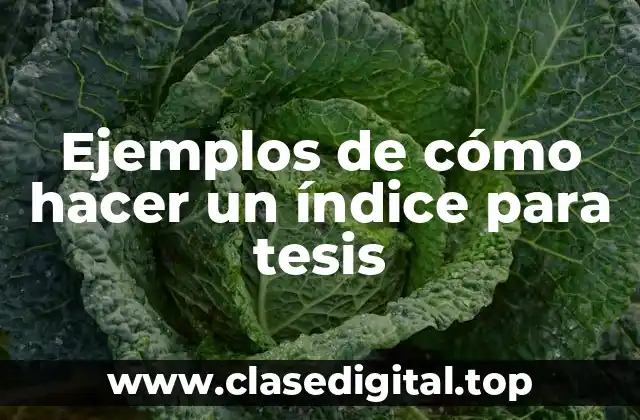 Ejemplos de cómo hacer un índice para tesis
