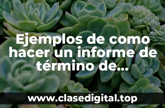 Ejemplos de como hacer un informe de término de capacitación