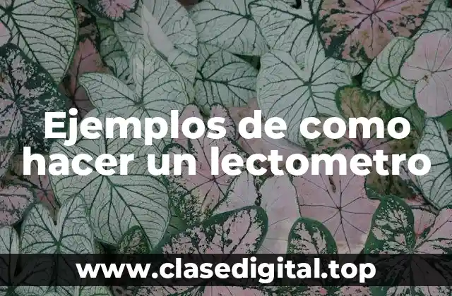Ejemplos de cómo hacer un lectómetro