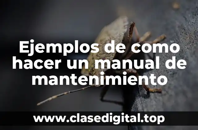 Ejemplos de como hacer un manual de mantenimiento