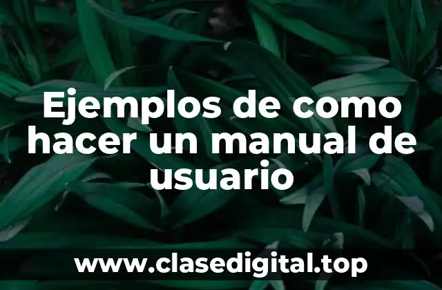 Ejemplos de como hacer un manual de usuario